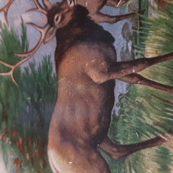 1918 Buffalo Pottery, USA cabinet plate - Picture 4 of 4